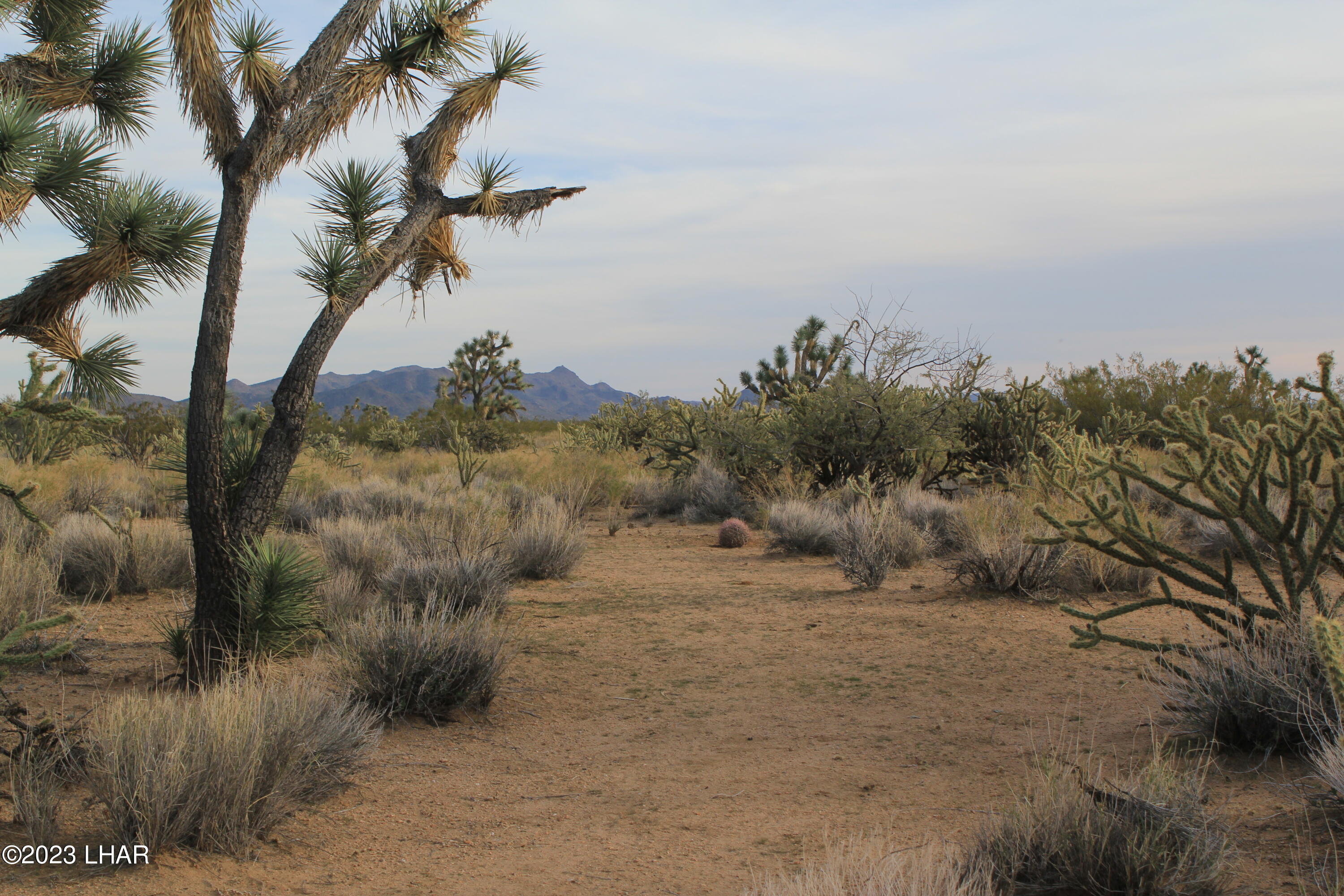 2364 South Gold Mine Road Yucca, AZ 86438 - Photo 45 of 51 IMG_0552 (1)