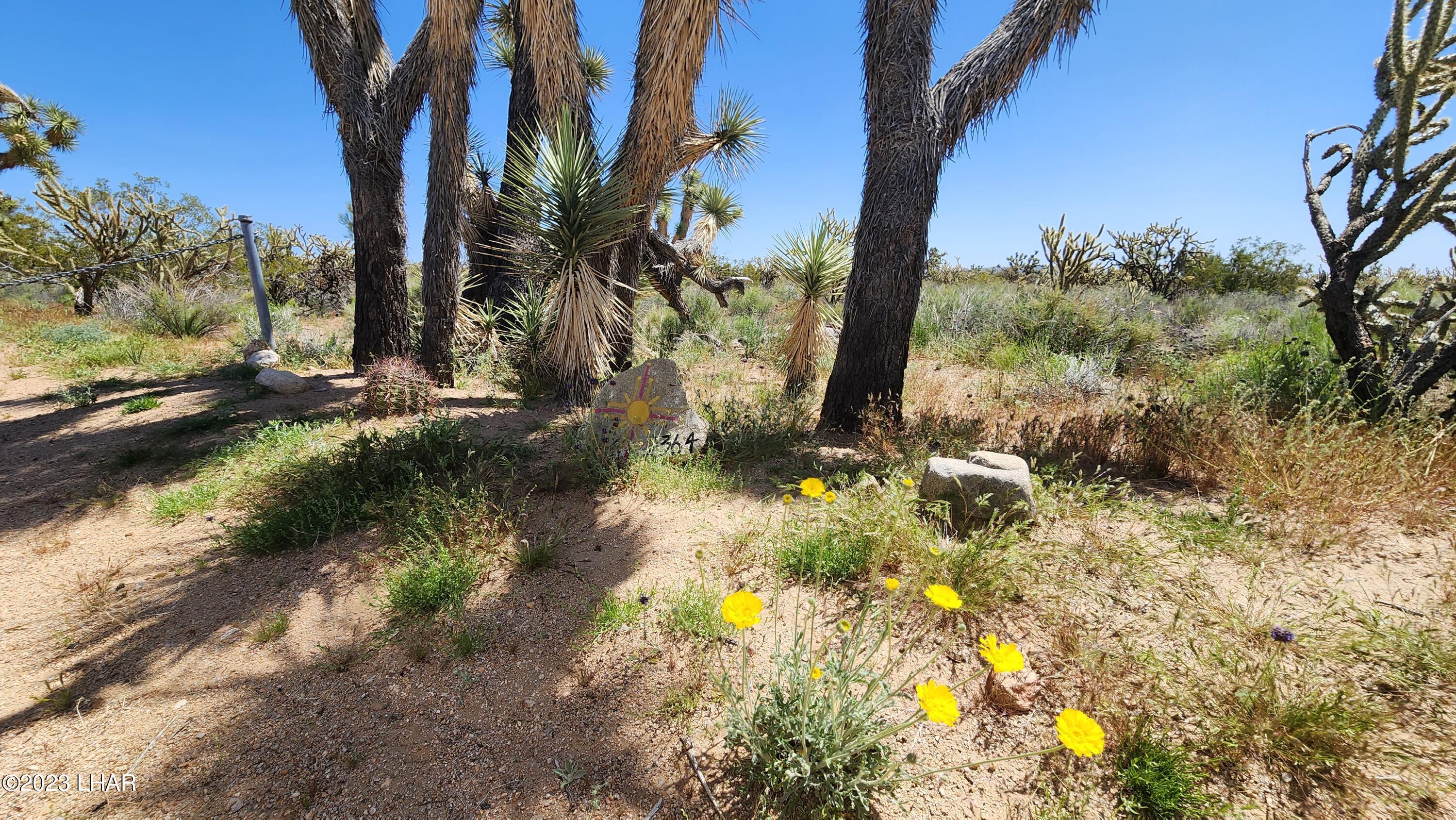 2364 South Gold Mine Road Yucca, AZ 86438 - Photo 5 of 51 Welcoming Touches