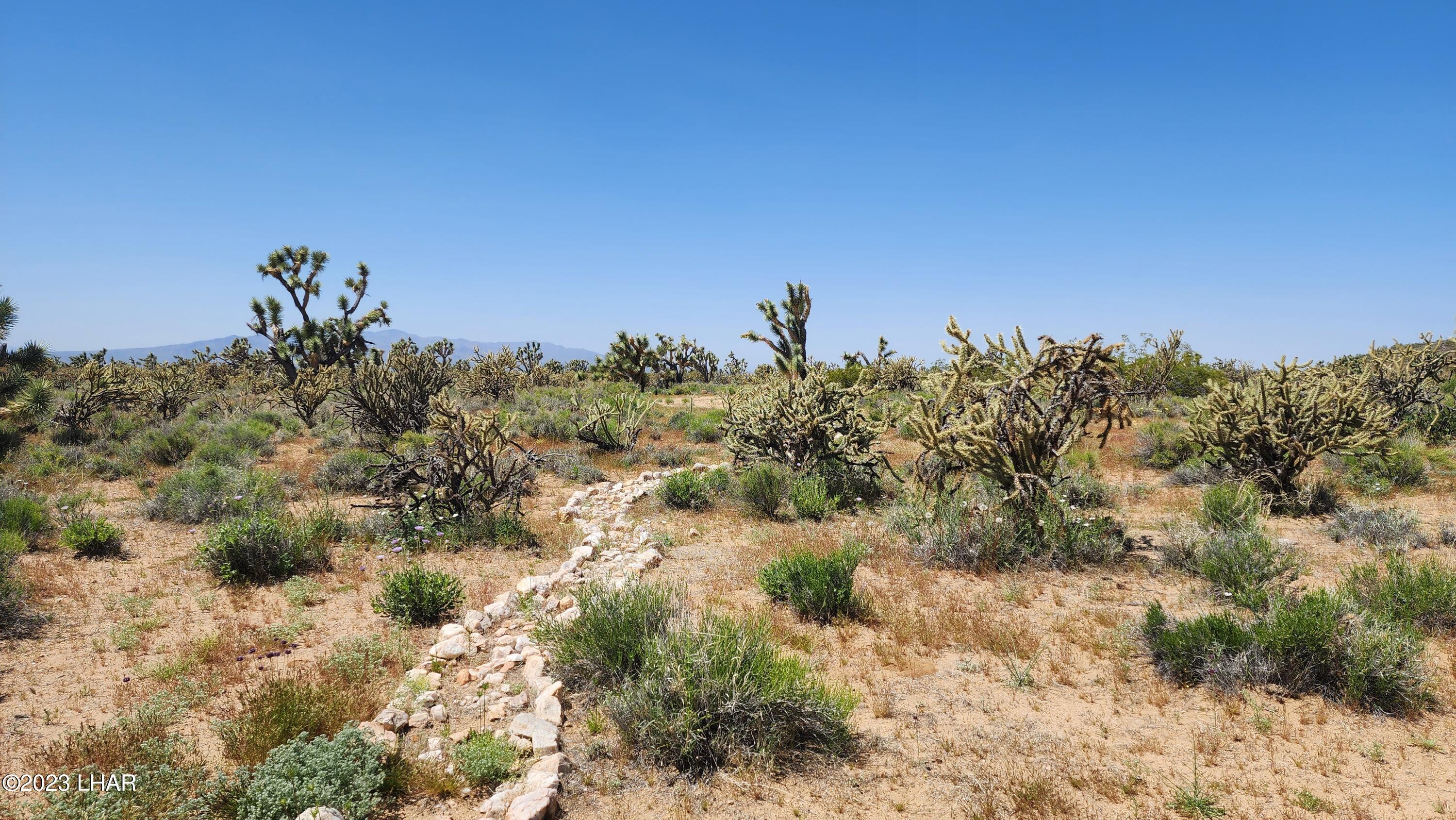 2364 South Gold Mine Road Yucca, AZ 86438 - Photo 6 of 51 Walking paths throughout