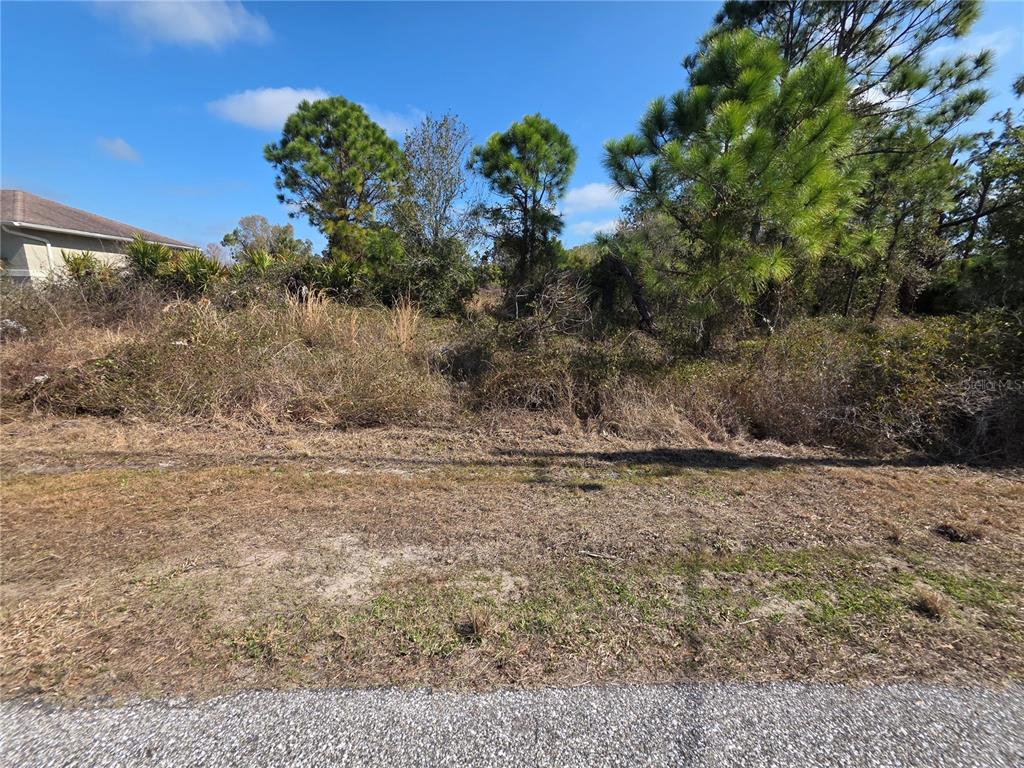 North Deer Run Road North Port, FL 34291 - Photo 5 of 7 a view of a dry yard