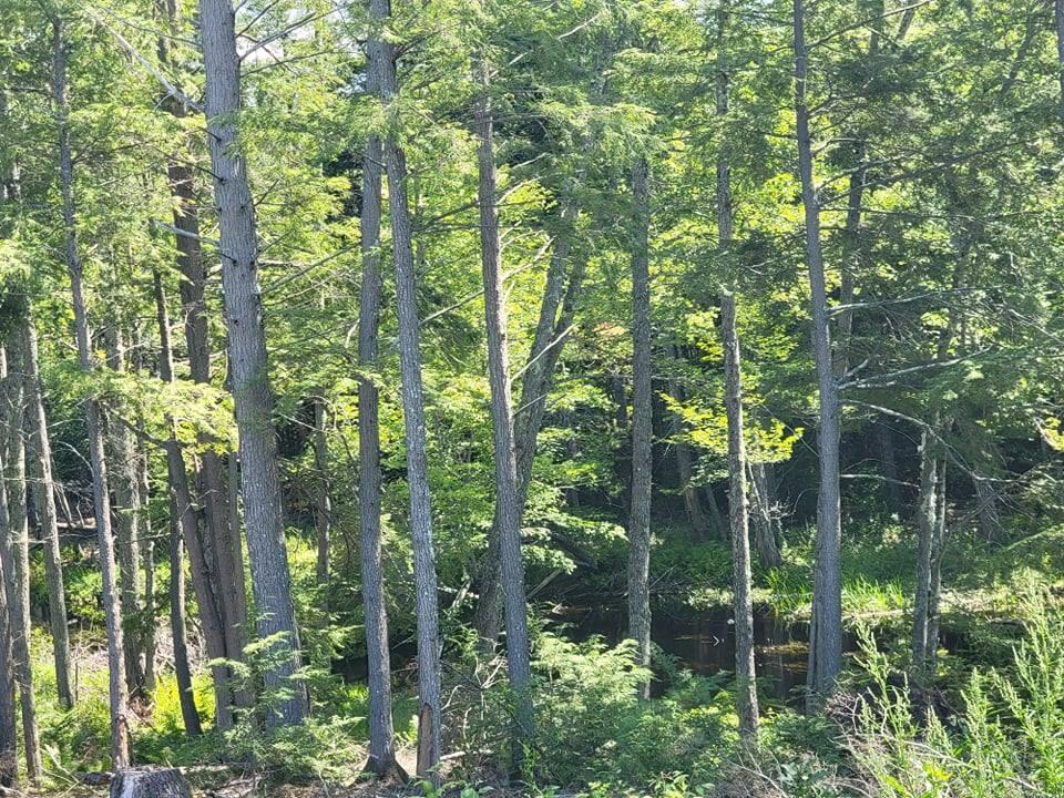 179 Somerville Road Jefferson, ME 04348 - Photo 37 of 41 226396871_153459730204163_77569739689003
