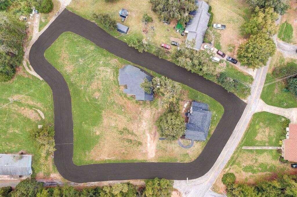 a view of a painting of a tree