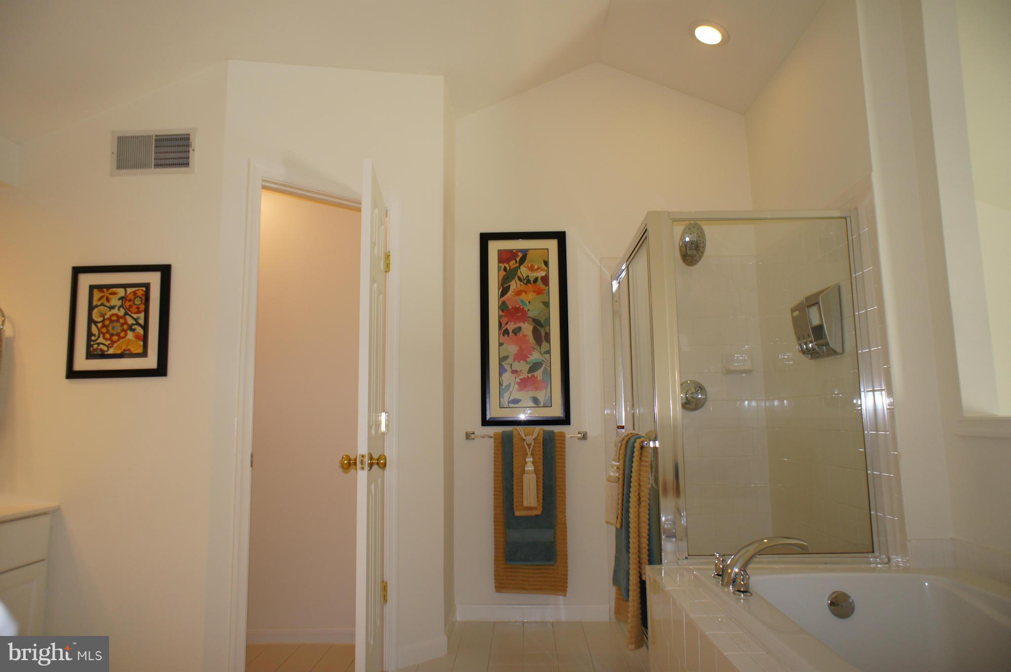 6021 Riddle Walk Alexandria, VA 22312 - Photo 17 of 30 a bathroom with a shower