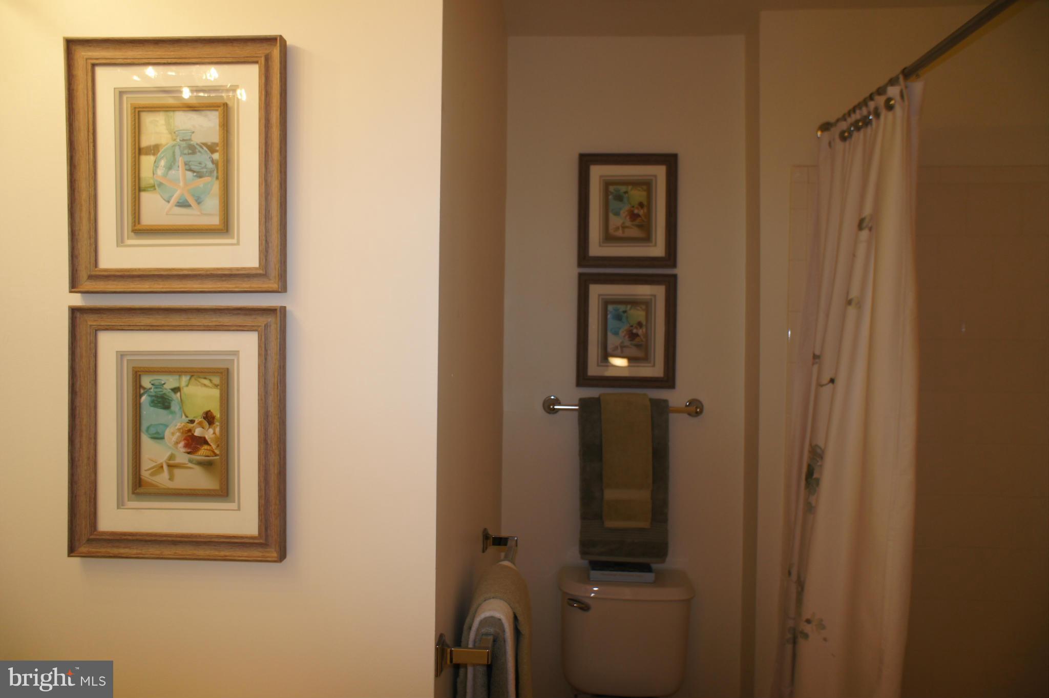 6021 Riddle Walk Alexandria, VA 22312 - Photo 22 of 30 a view of a hallway with front door