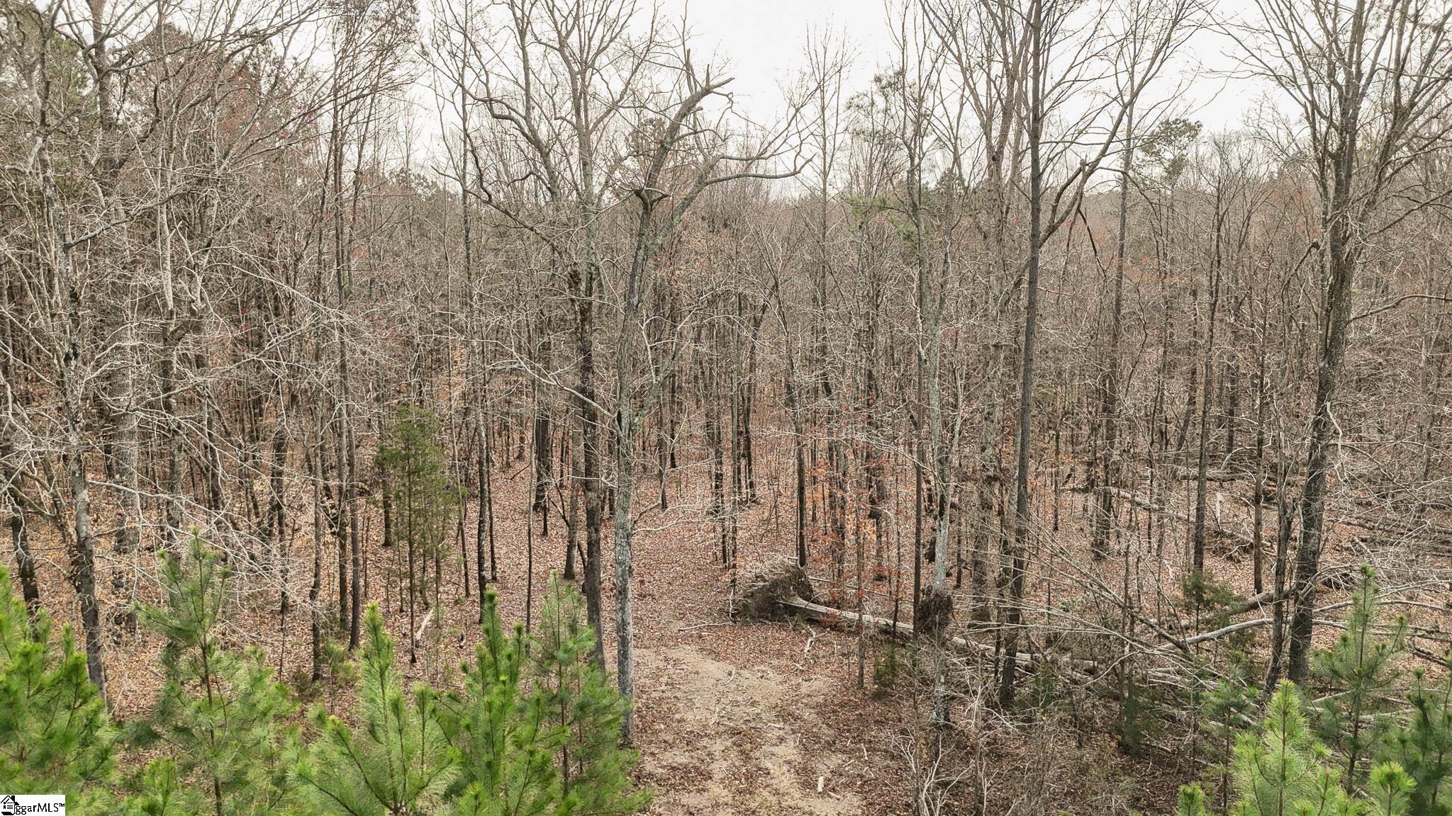 588 Lake Road Clinton, SC 29325 - Photo 4 of 23