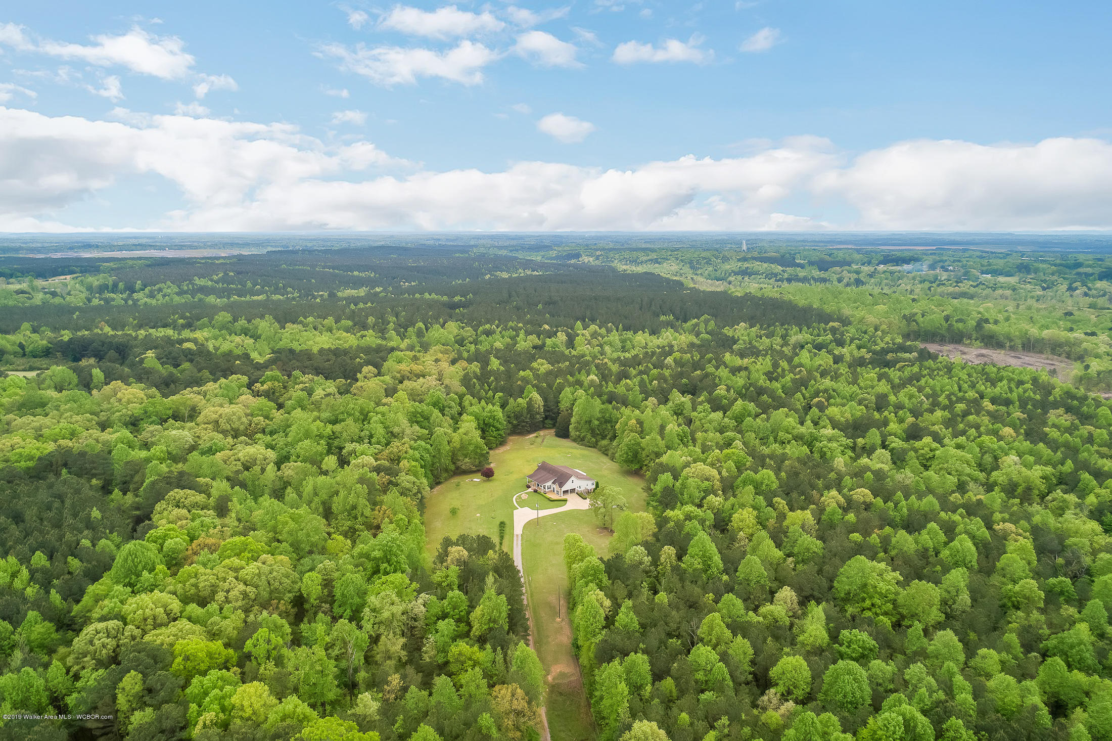 4823 Bird Farm Road Jasper, AL 35503 - Photo 36 of 40 Gallery Image 36