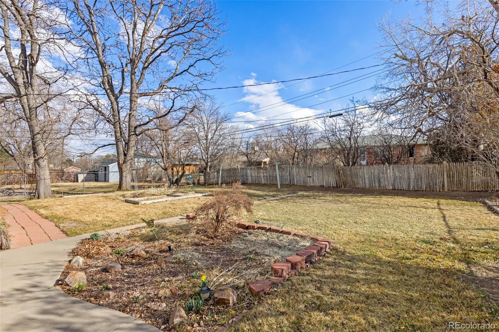 5520 East Bails Drive Denver, CO 80222 - Photo 25 of 38 a view of yard with trees