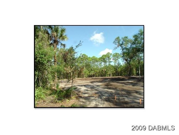 2056 Old Daytona Road Port Orange, FL 32128 - Photo 1 of 3 Primary Photo