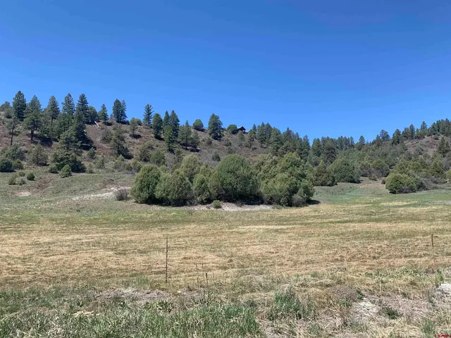 $219,000 | 1733 Harvard Avenue, Pagosa Springs, CO 81147