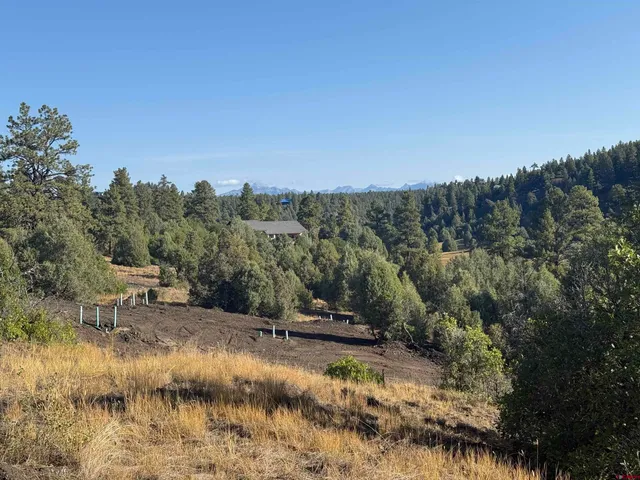 $219,000 | 1733 Harvard Avenue, Pagosa Springs, CO 81147