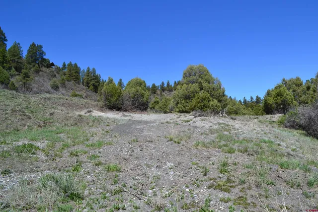 $219,000 | 1733 Harvard Avenue, Pagosa Springs, CO 81147