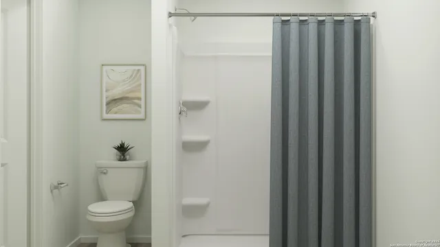 a bathroom with a toilet and a shower