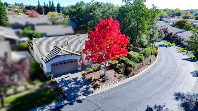 a picture of flowers and flowers