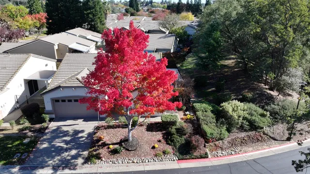a view of a house with a yard and garden