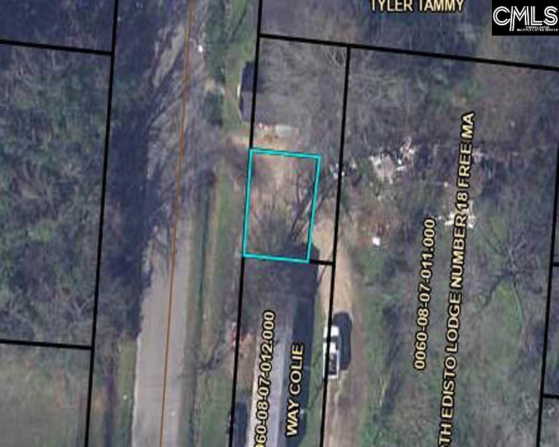Tbd Bedford Avenue North, SC 29112 - Photo 5 of 5