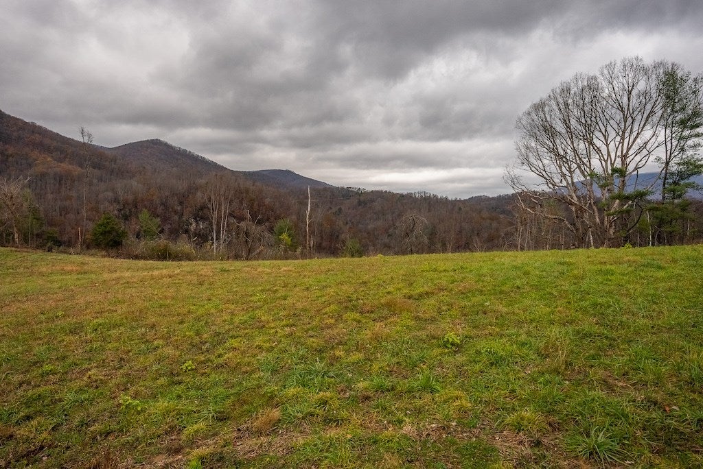 Lot 2 Curve Road Pearisburg, VA 24134 - Photo 5 of 34 Gallery Image 5