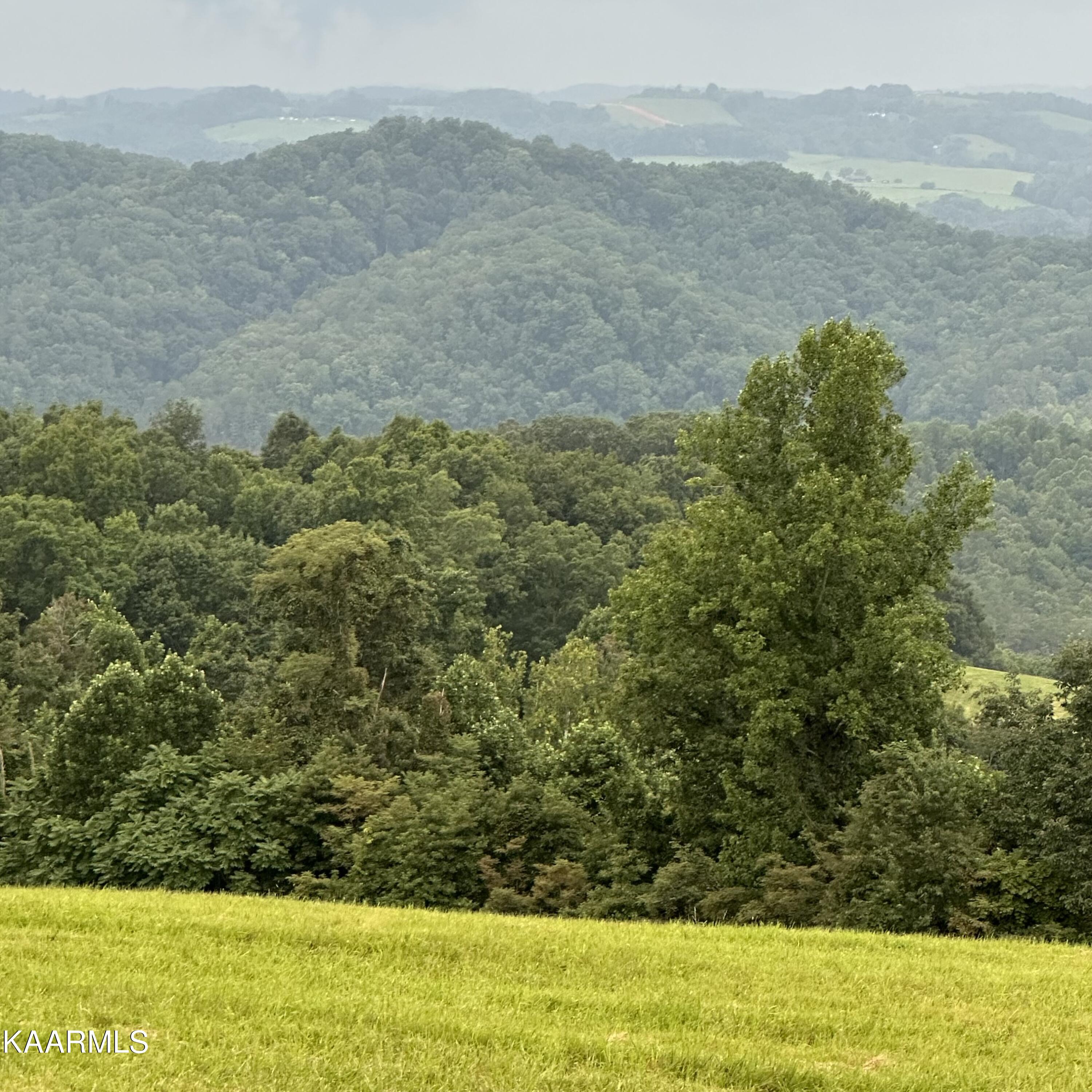 Overton Maynardville, TN 37807 - Photo 11 of 31 lot 12 13