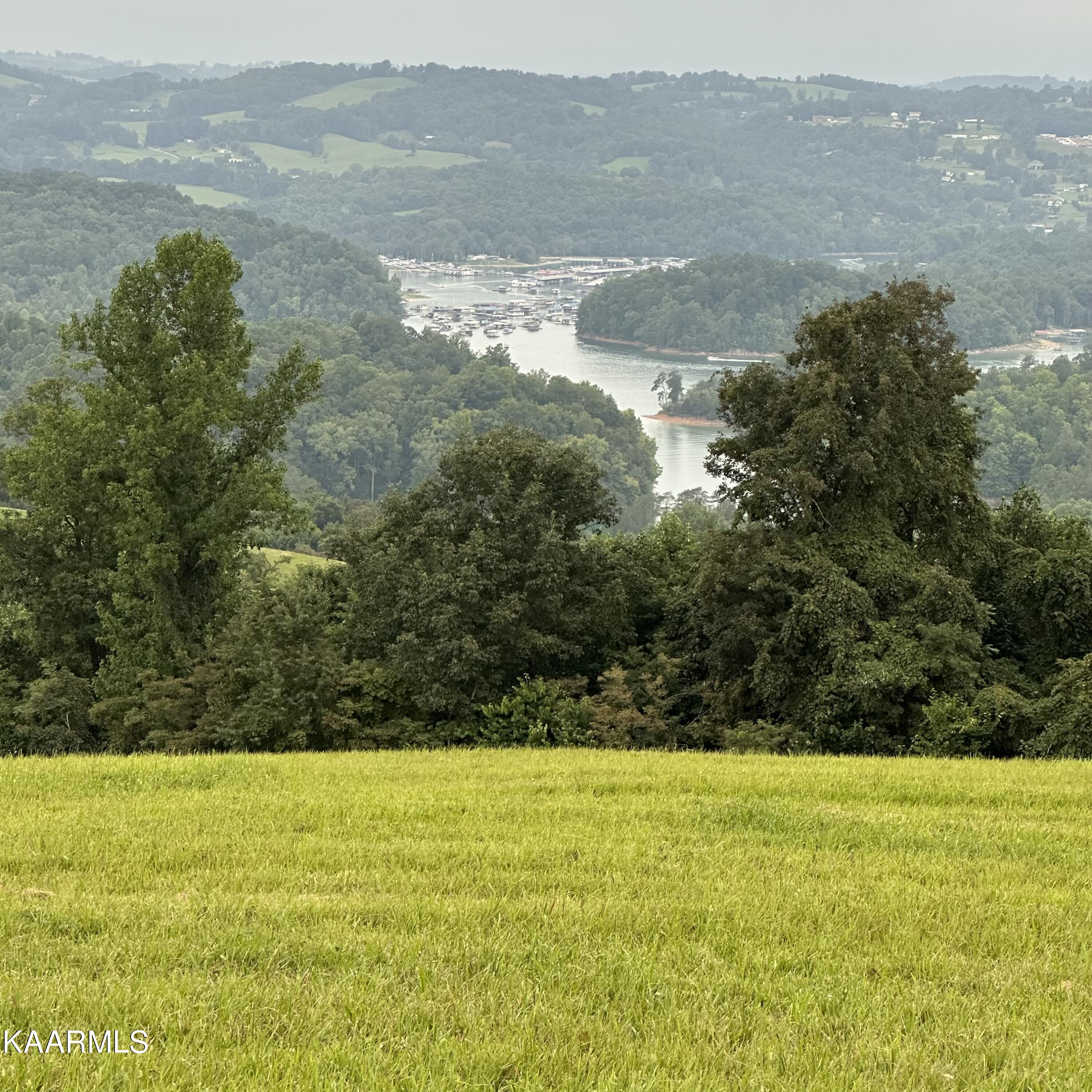 Overton Maynardville, TN 37807 - Photo 12 of 31 lot 12 6