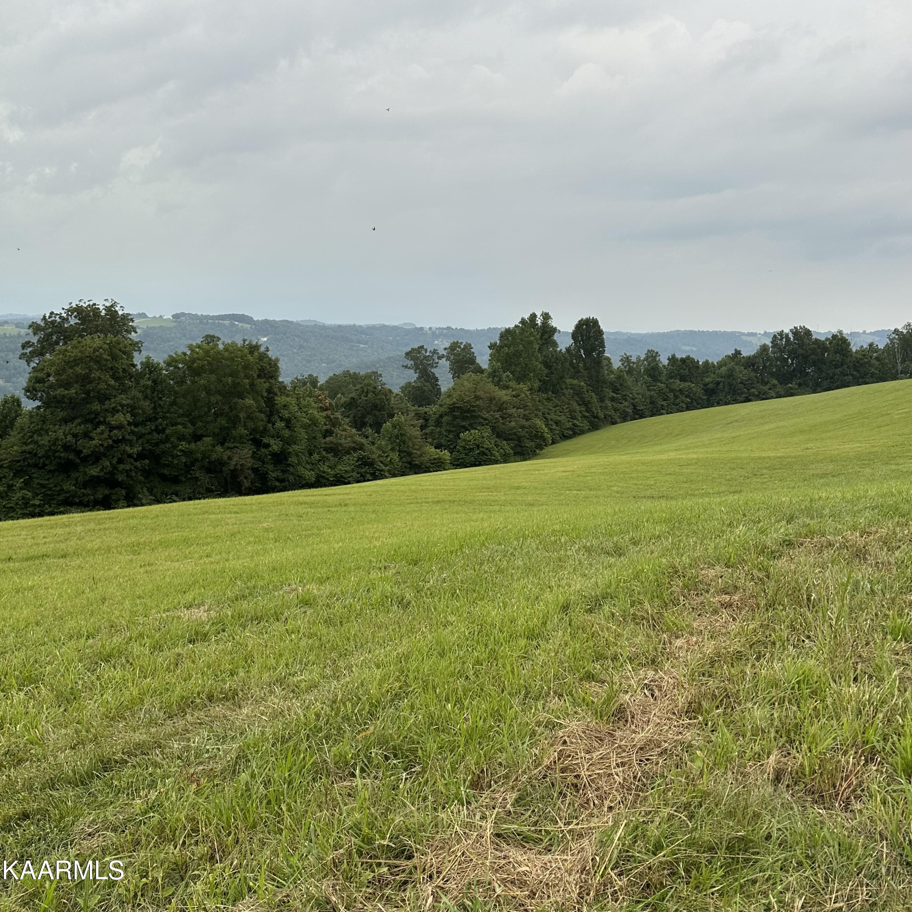 Overton Maynardville, TN 37807 - Photo 17 of 31 lot 12 7