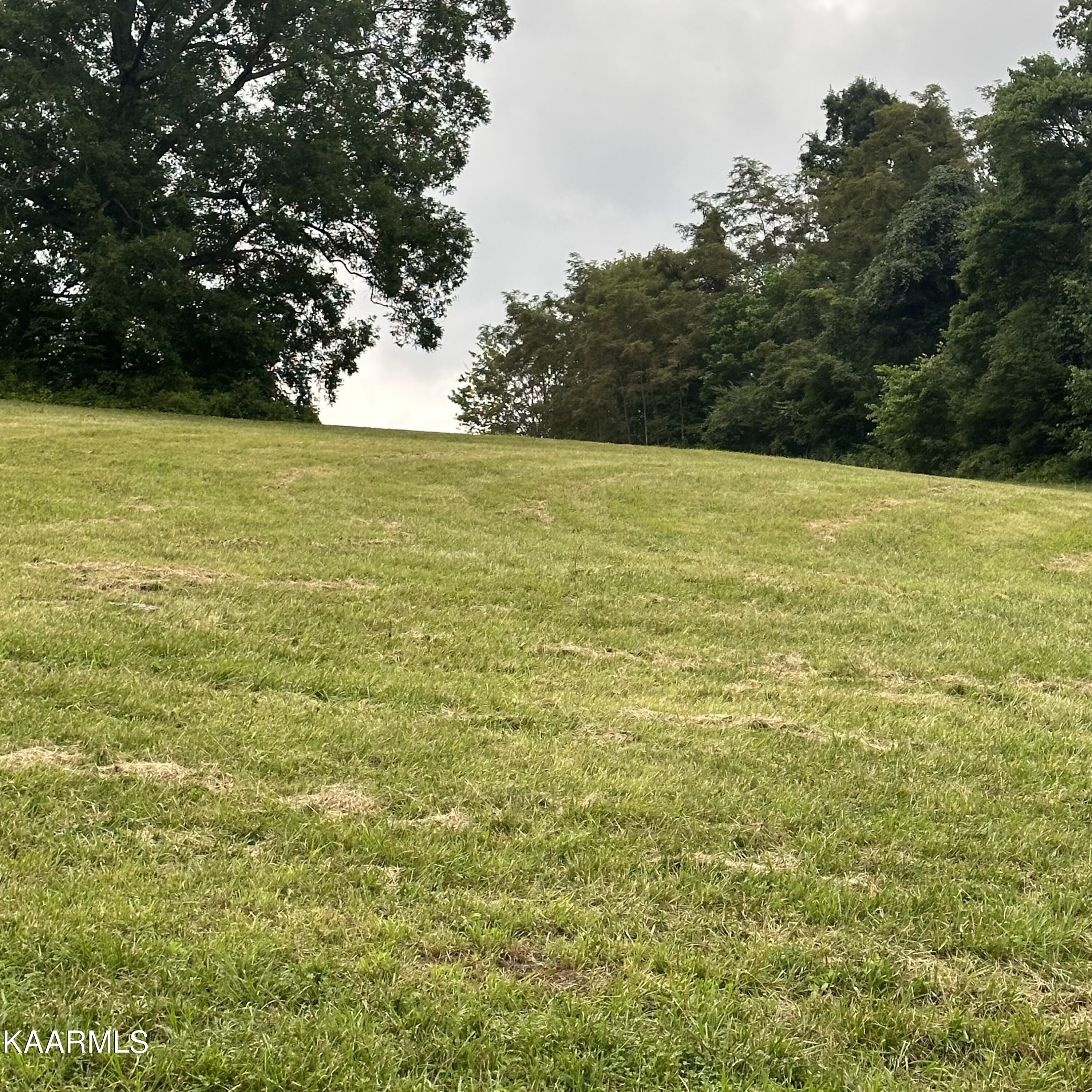 Overton Maynardville, TN 37807 - Photo 19 of 31 lot 12 4