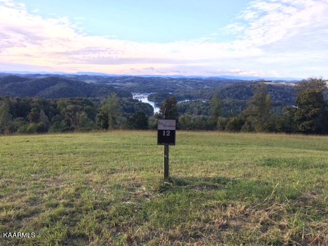 Overton Maynardville, TN 37807 - Photo 21 of 31 lot 12 overton 1