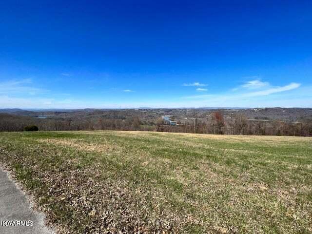 Overton Maynardville, TN 37807 - Photo 6 of 31 overton bay meadow 22