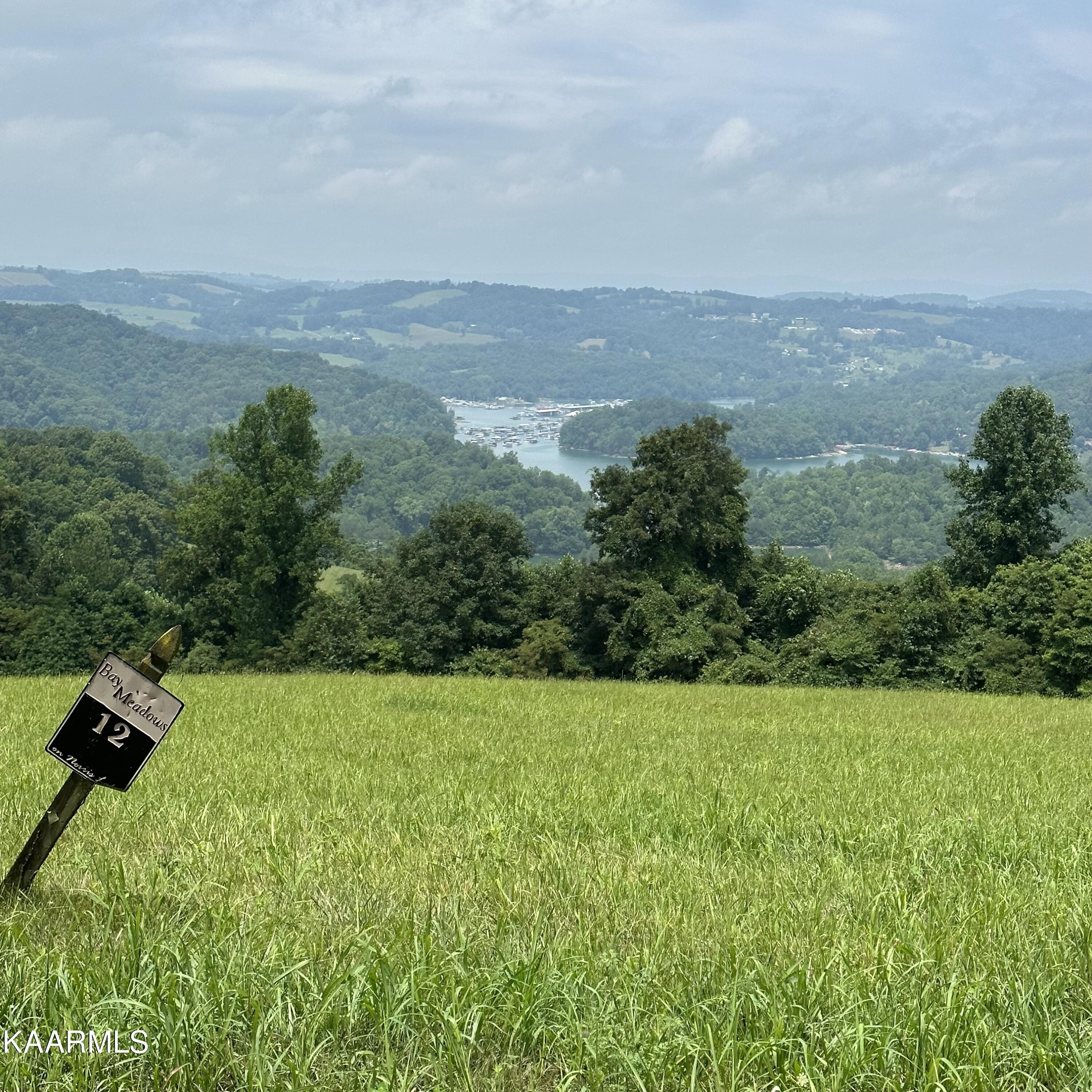 Overton Maynardville, TN 37807 - Photo 7 of 31 lot 12 16