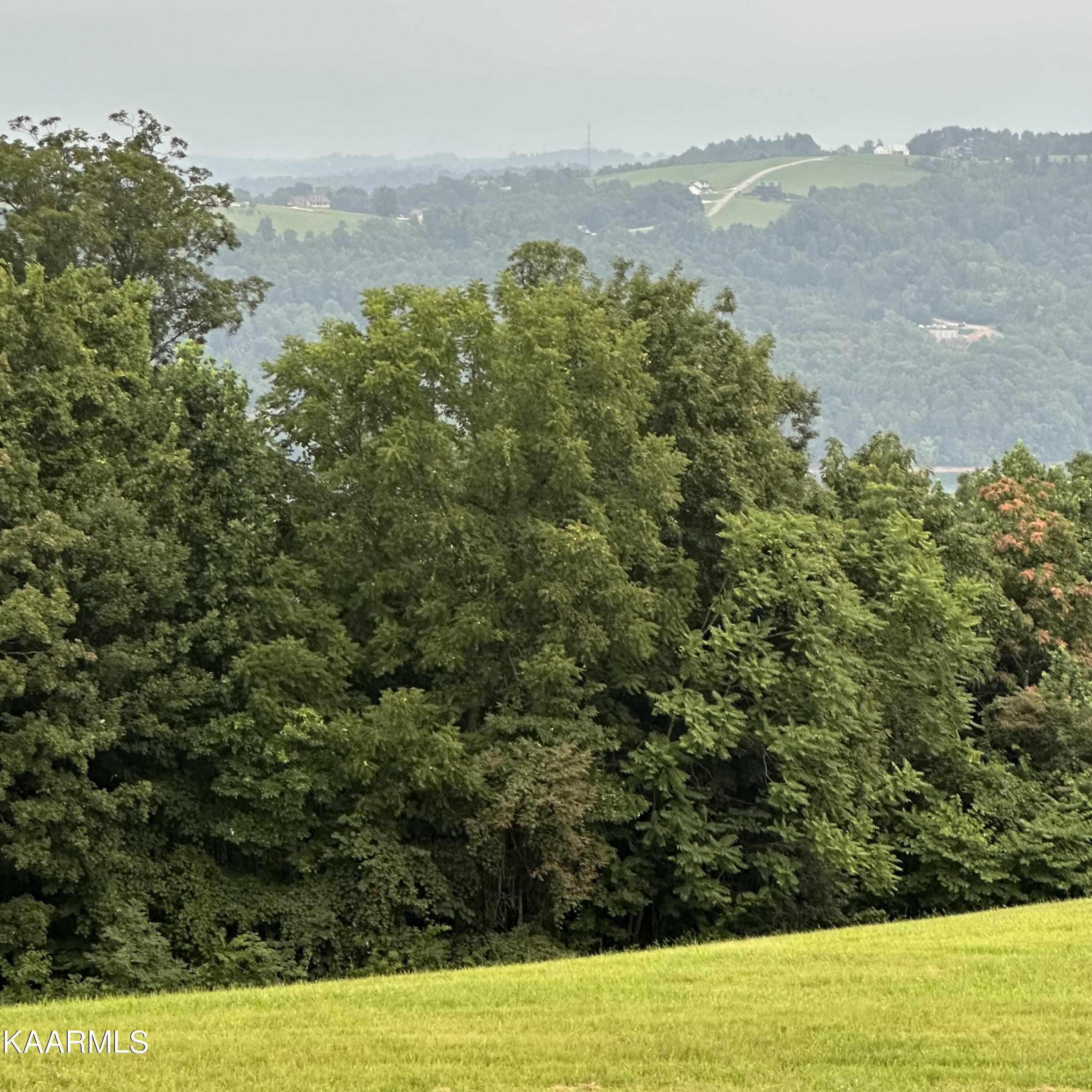 Overton Maynardville, TN 37807 - Photo 10 of 31 lot 12 14