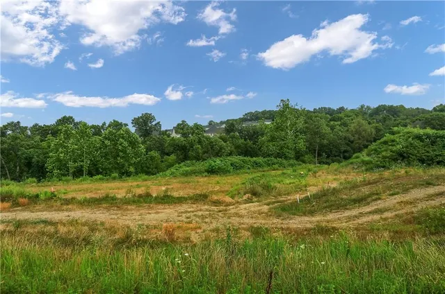 a view of a big yard with large trees