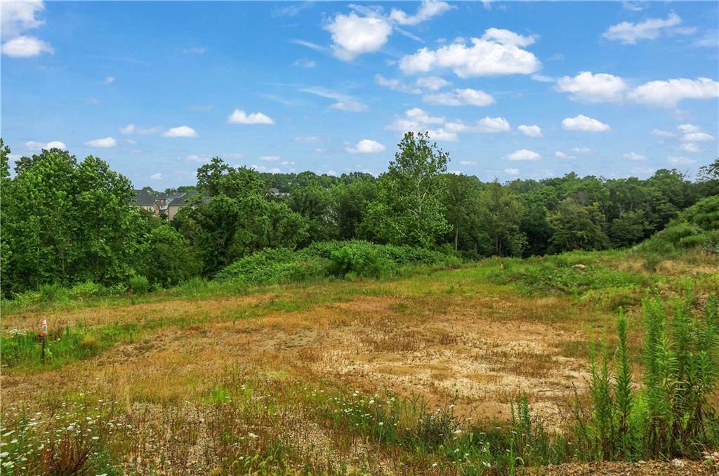 Lot 3 Beaver Grade Road McKees Rocks, PA 15136 - Photo 6 of 11 a view of a yard with a tree