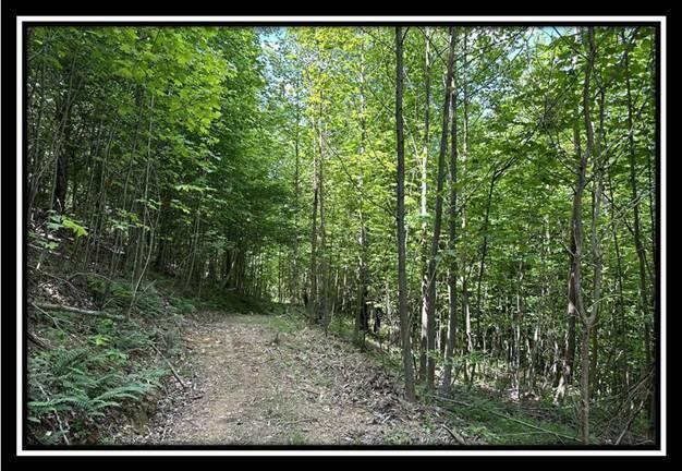 59 Weaver Road, Unit TRACT C) Chillicothe, OH 45601 - Photo 28 of 36 image028