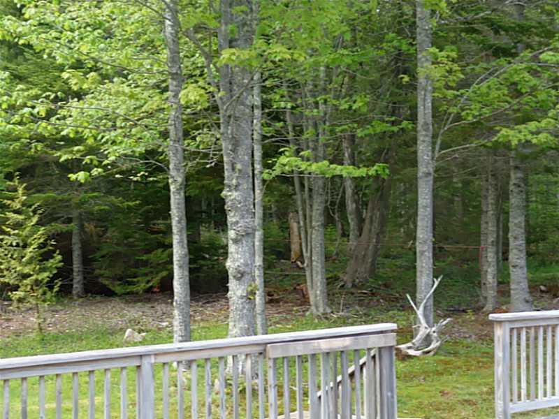 72 Corea Road Prospect Harbor, ME 04669 - Photo 27 of 32 Back Yard. The woods guard your...