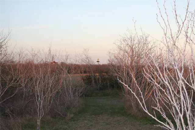 a view of a yard with an trees