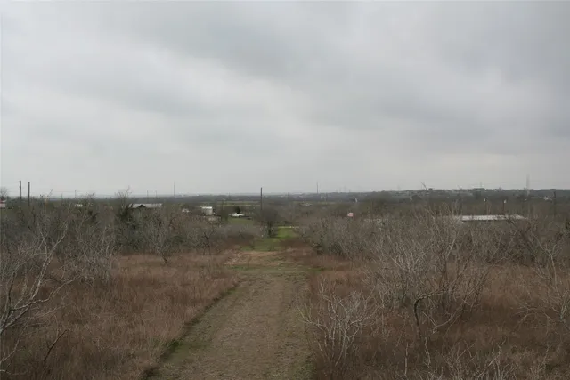 a view of a dry yard with trees