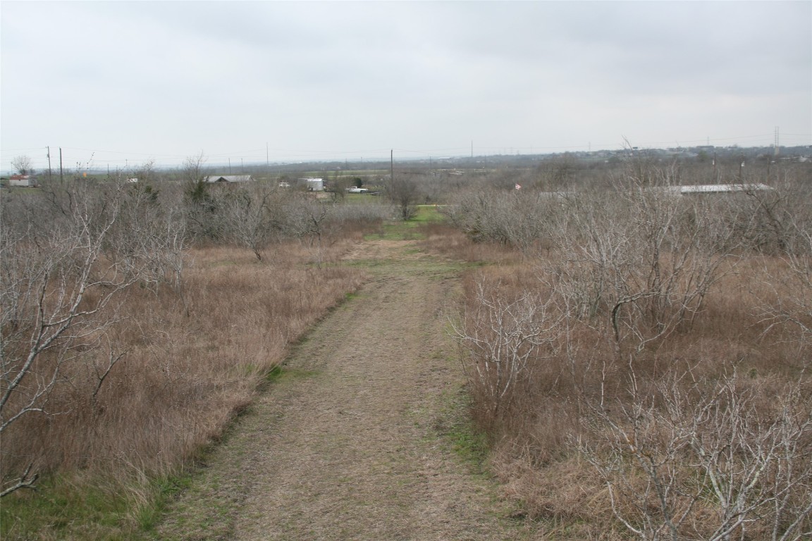 118 Ranchero Drive Buda, TX 78610 - Photo 15 of 21 a view of a dry yard with trees