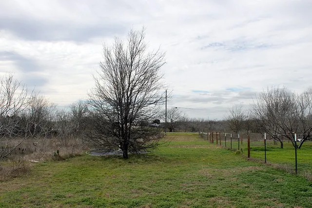 a view of a yard with large trees