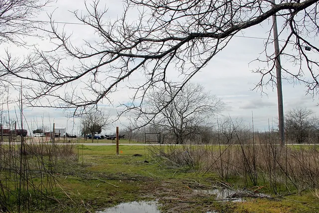a view of a yard with a tree