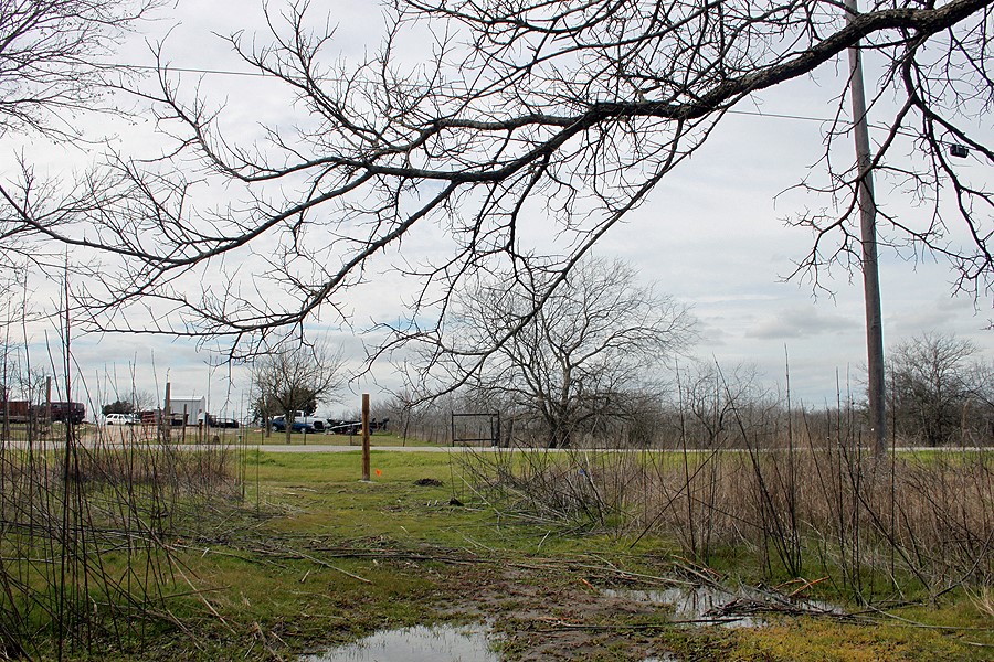 118 Ranchero Drive Buda, TX 78610 - Photo 18 of 21 a view of a yard with large trees
