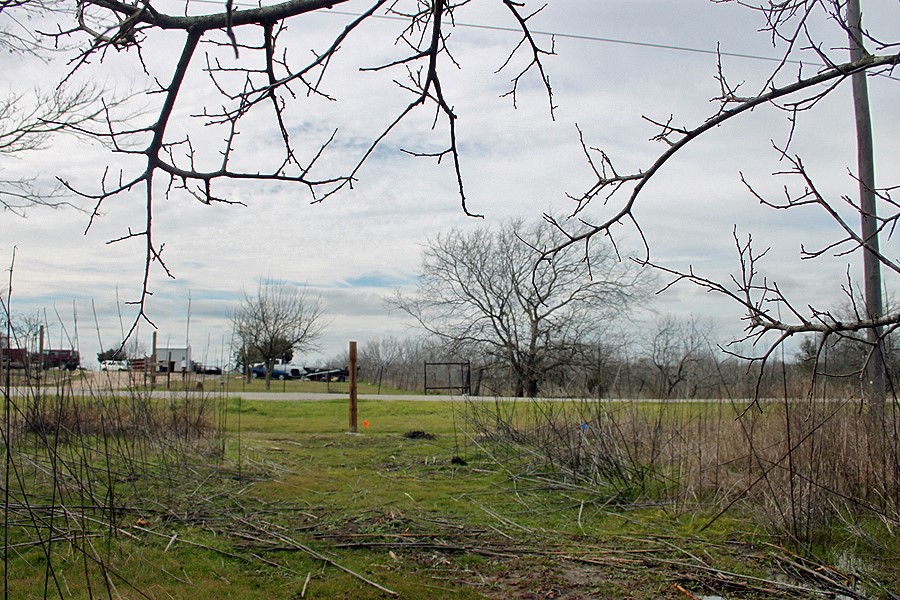 118 Ranchero Drive Buda, TX 78610 - Photo 19 of 21 a view of a yard with a tree