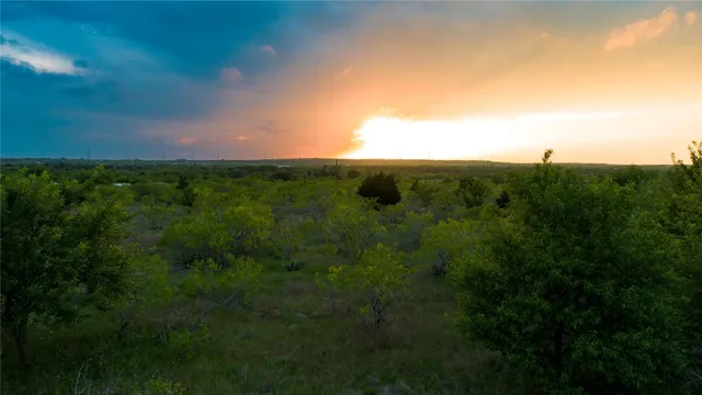a view of a bunch of trees in background