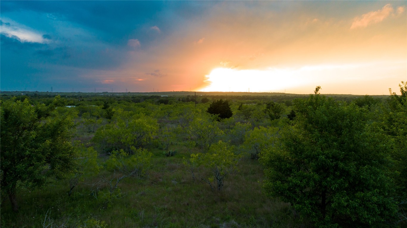 118 Ranchero Drive Buda, TX 78610 - Photo 7 of 21 a view of a bunch of trees in background