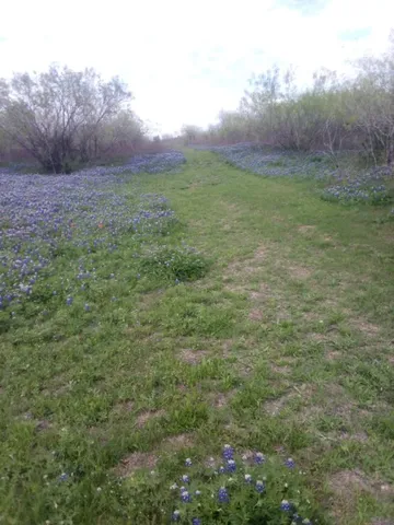a view of an outdoor space and yard