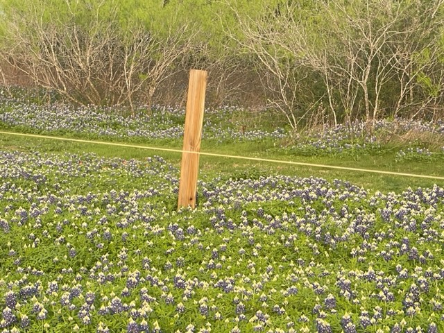 118 Ranchero Drive Buda, TX 78610 - Photo 10 of 21 a view of a garden with an empty space