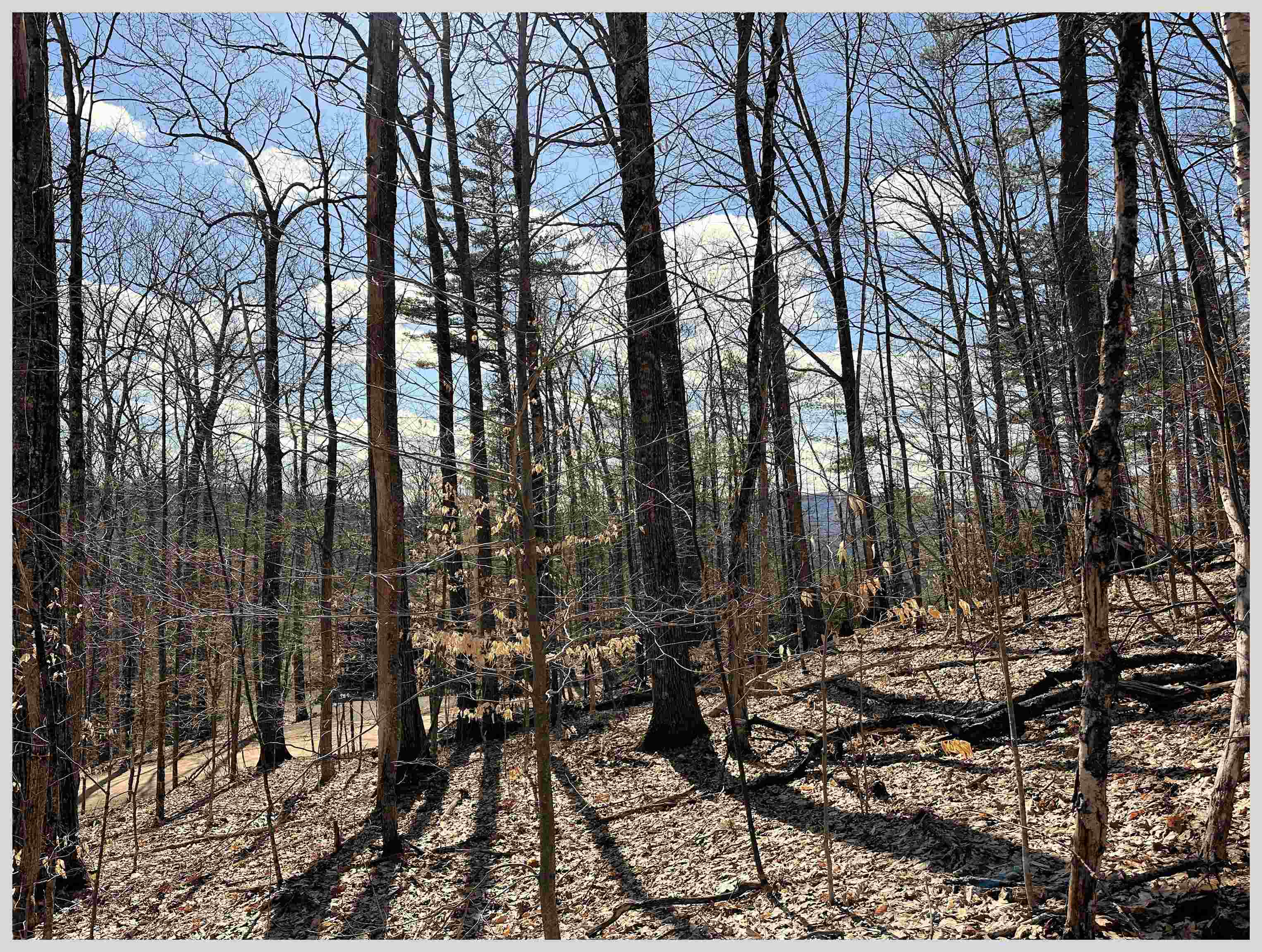 H-15 Tobey Road Campton, NH 03223 - Photo 3 of 30