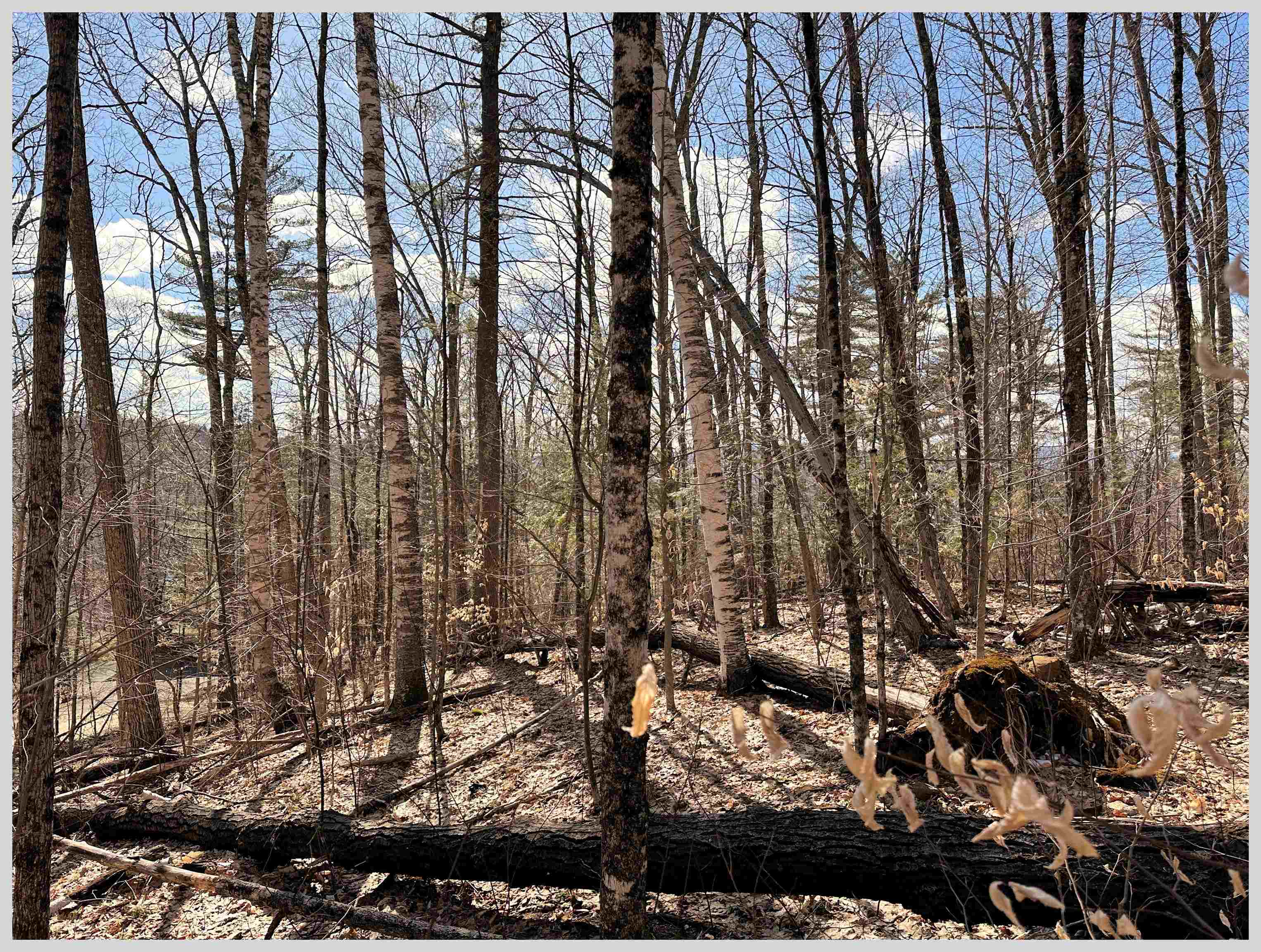 H-15 Tobey Road Campton, NH 03223 - Photo 5 of 30