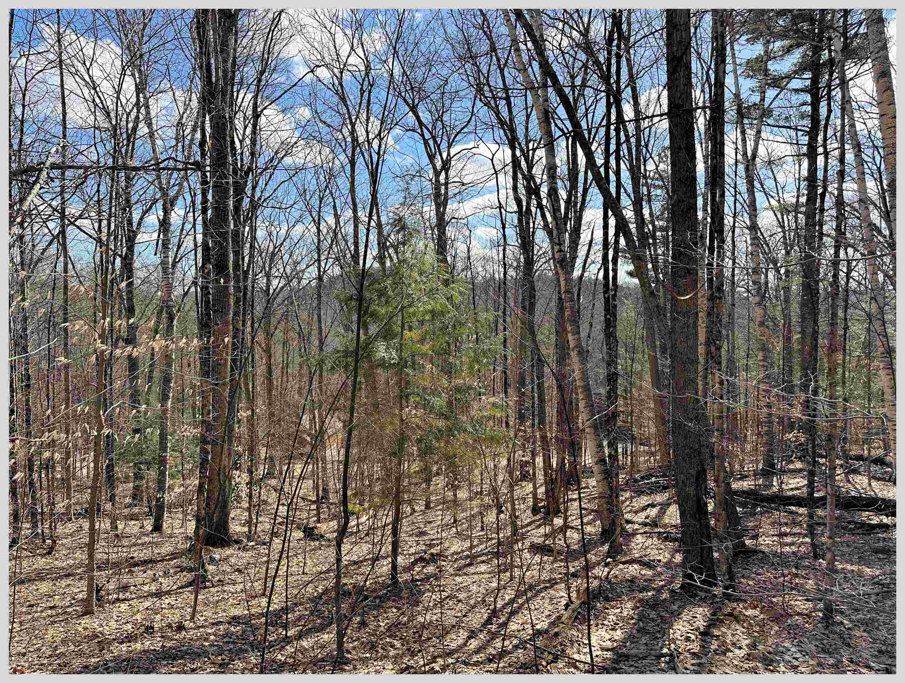 H-15 Tobey Road Campton, NH 03223 - Photo 6 of 30