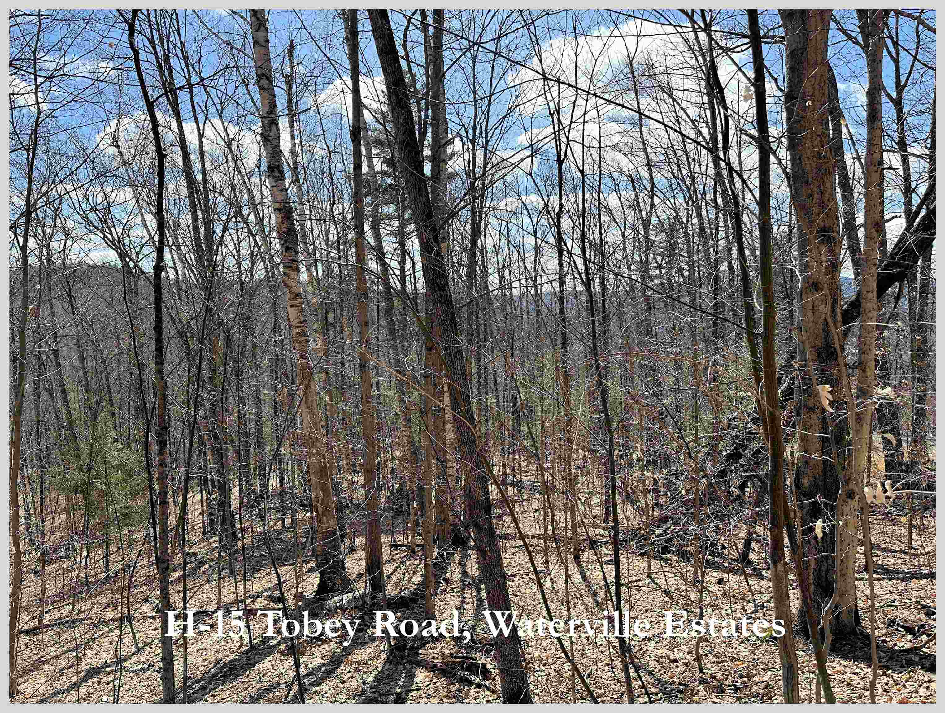 H-15 Tobey Road Campton, NH 03223 - Photo 7 of 30