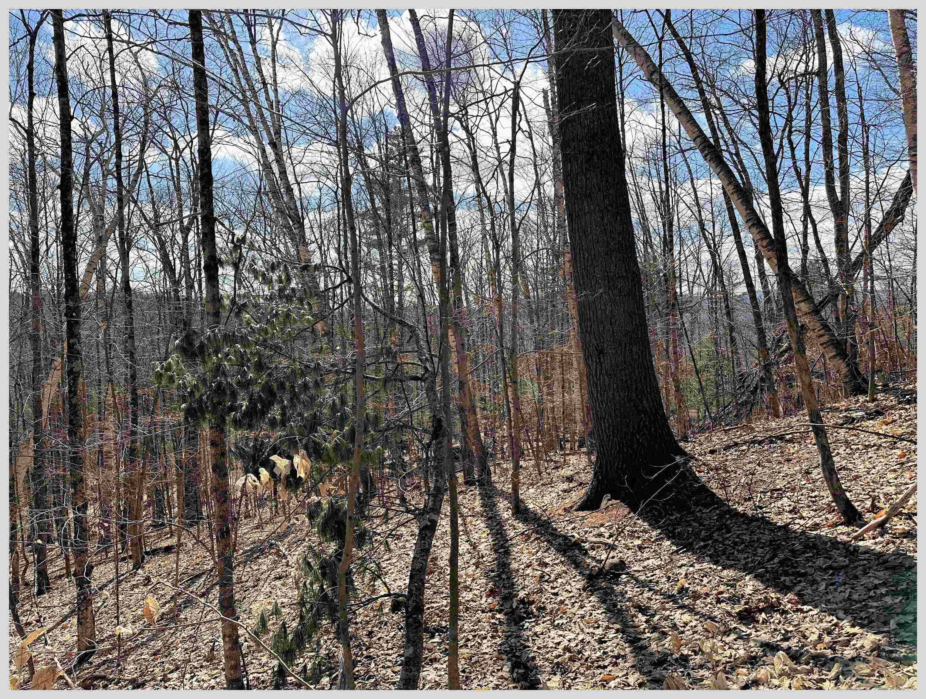 H-15 Tobey Road Campton, NH 03223 - Photo 8 of 30