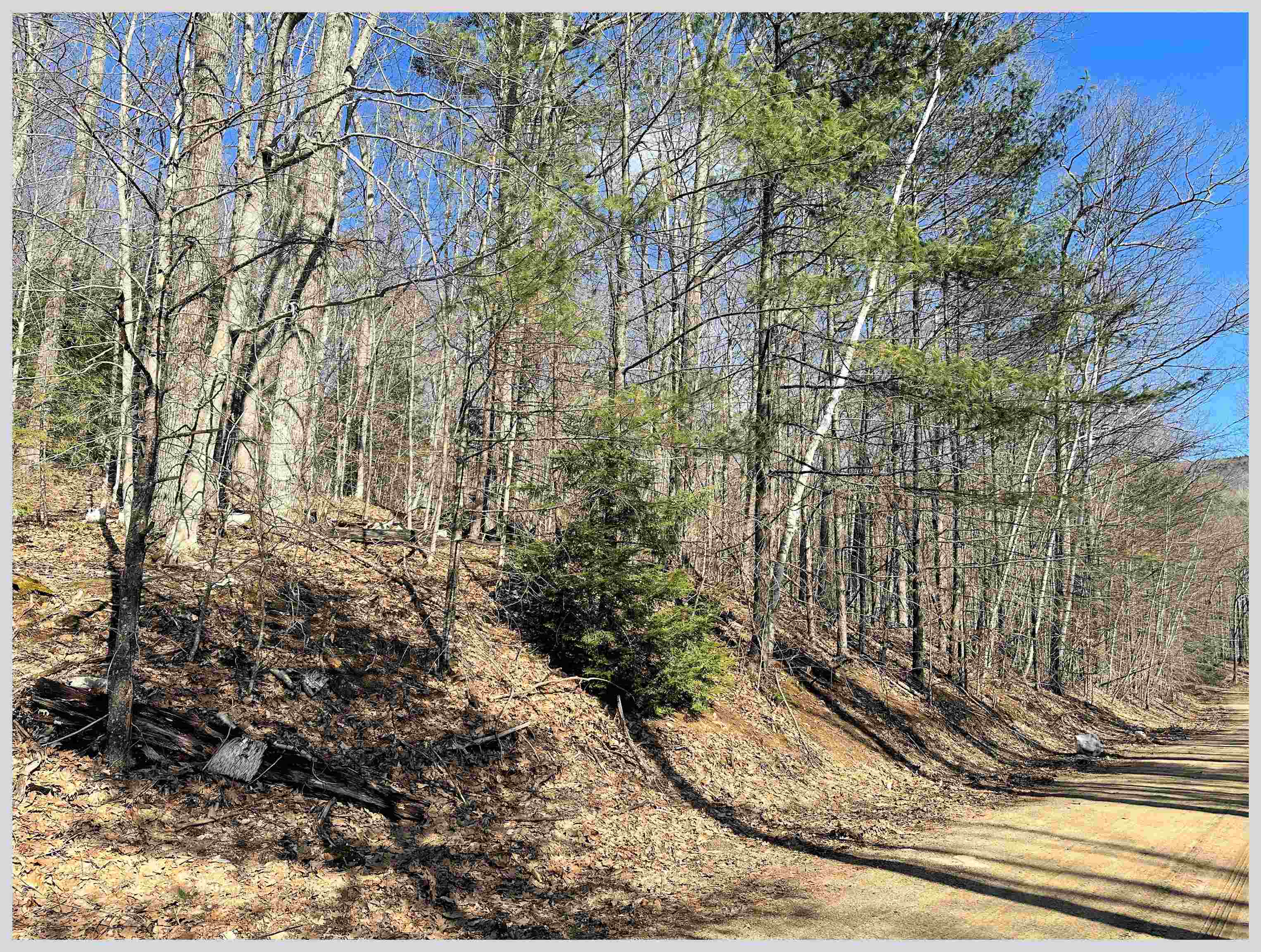 H-15 Tobey Road Campton, NH 03223 - Photo 10 of 30