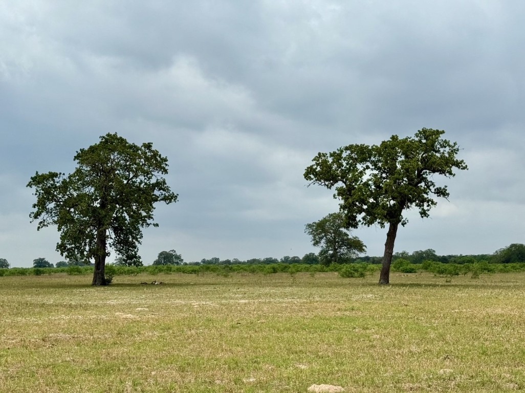 3 Big Sky Rnch Road Smithville, TX 78957 - Photo 2 of 10